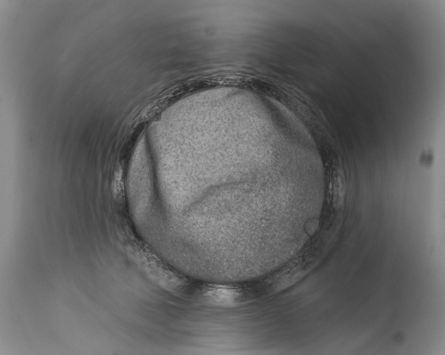 X0000115010610200911161602