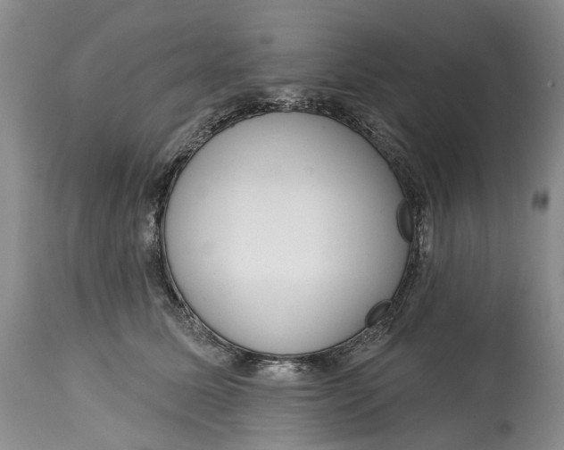 X0000115010611200911161602