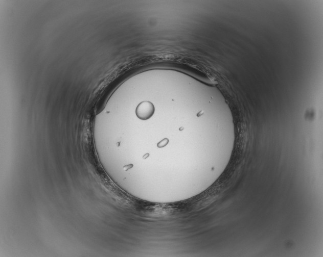 X0000115010612200911161602