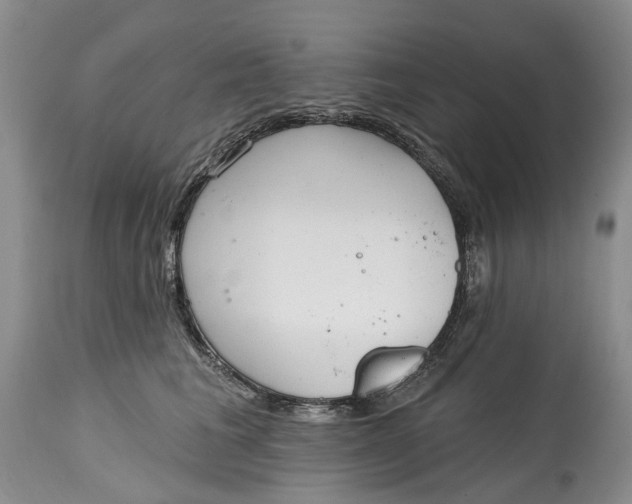 X0000115010613200911161602