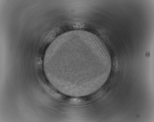X0000115010614200911161602