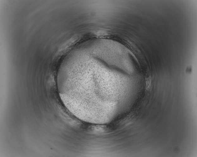 X0000115010618200911161602