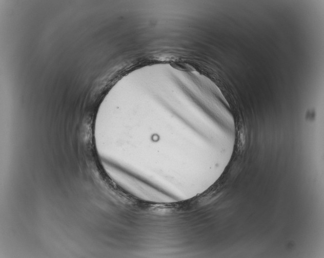 X0000115010620200911161602