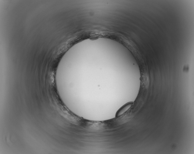 X0000115010621200911161602