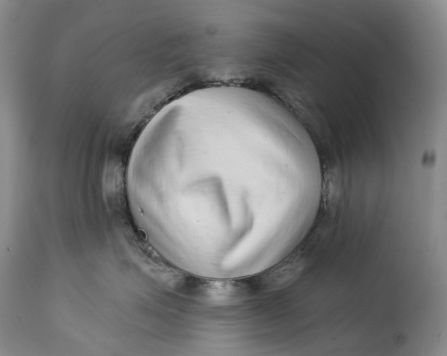 X0000115010623200911161602