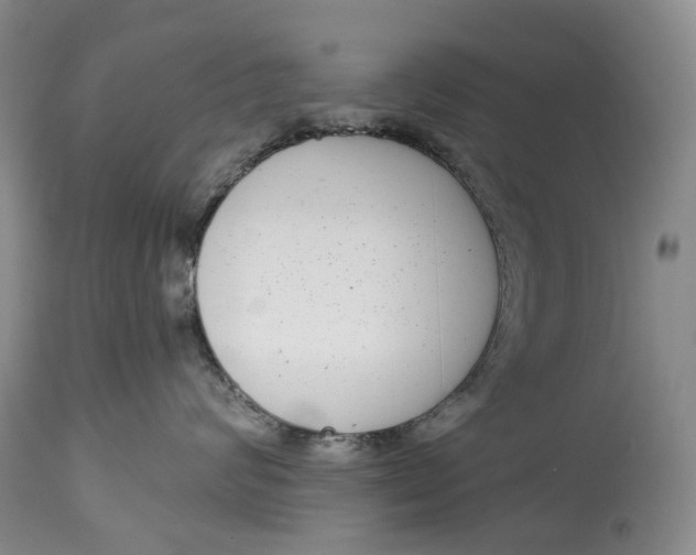 X0000115010624200911161602