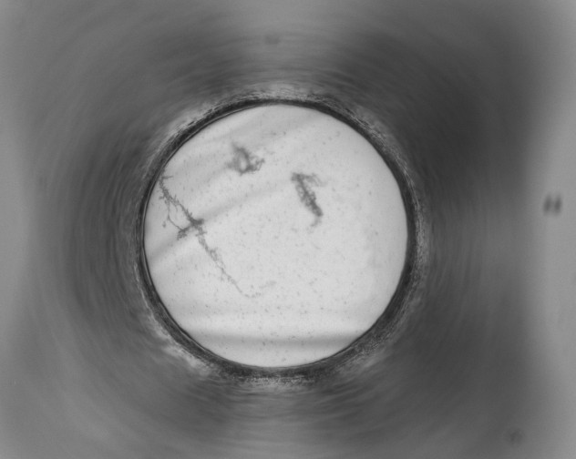 X0000115010625200911161601