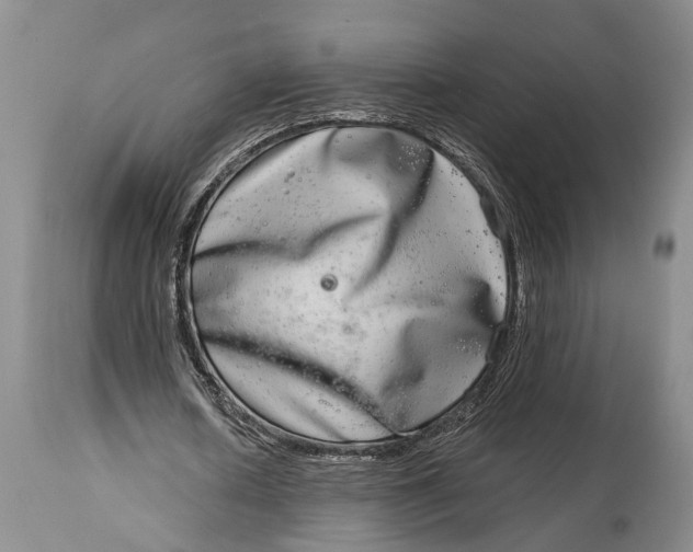 X0000115010626200911161601