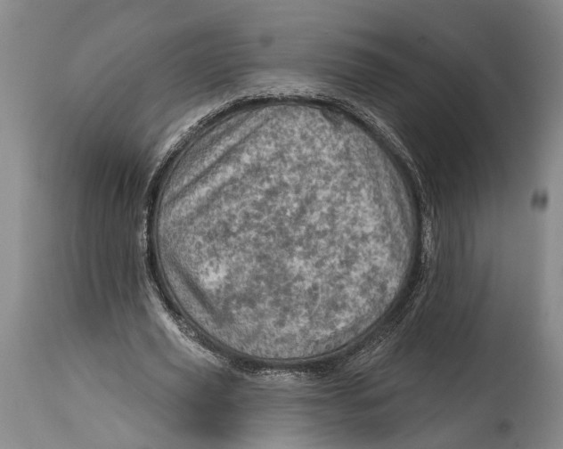 X0000115010629200911161601