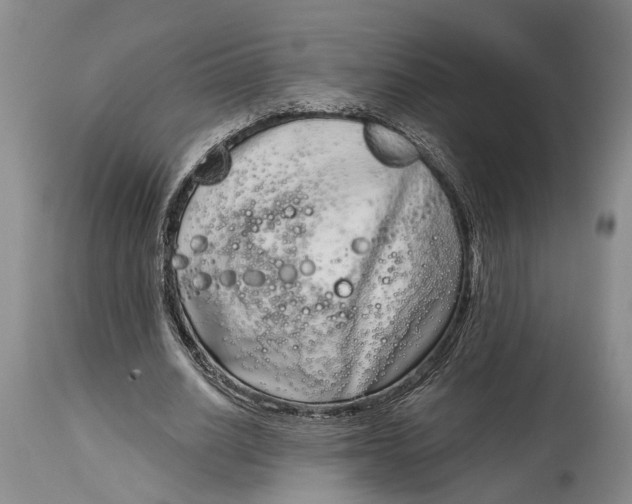 X0000115010630200911161601