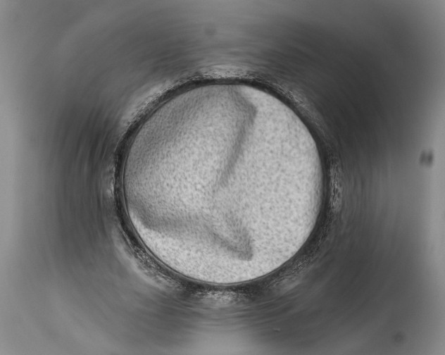 X0000115010631200911161601
