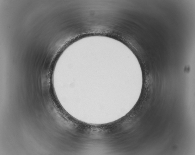 X0000115010632200911161601