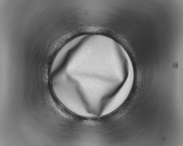 X0000115010633200911161601