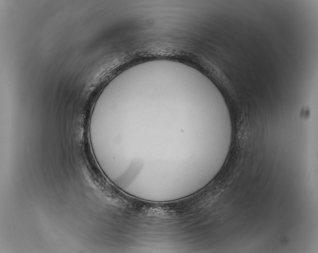 X0000115010635200911161601