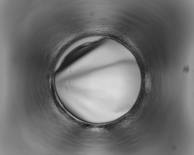 X0000115010637200911161601