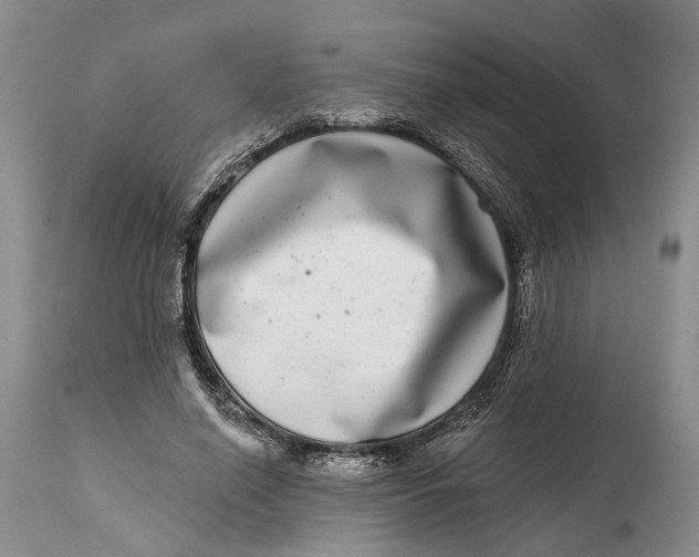 X0000115010638200911161601
