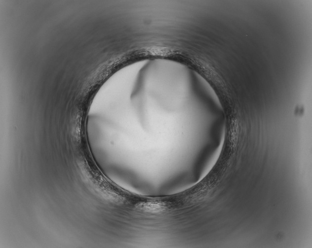 X0000115010639200911161601
