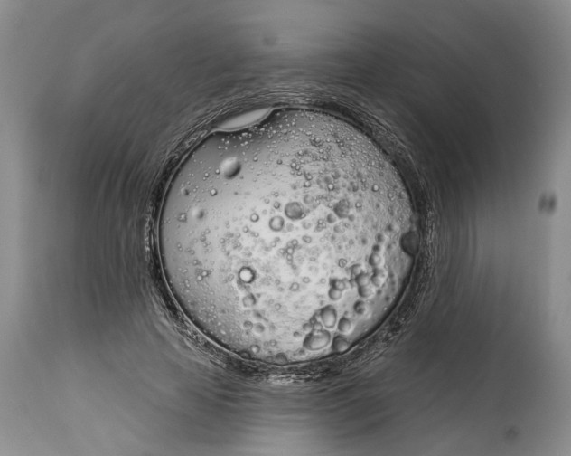 X0000115010641200911161601