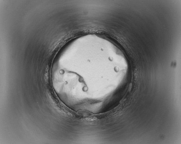 X0000115010642200911161601