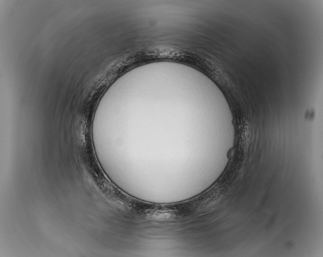X0000115010643200911161601