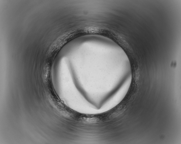 X0000115010645200911161601
