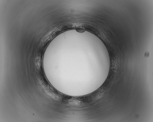 X0000115010648200911161601