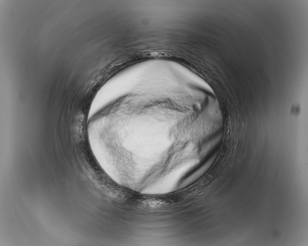 X0000115010650200911161601