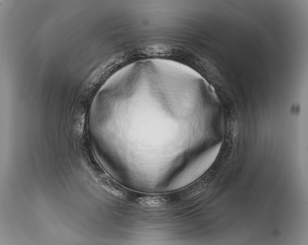 X0000115010652200911161601