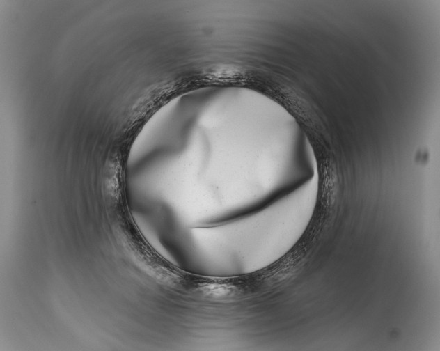 X0000115010654200911161601