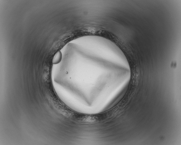 X0000115010656200911161601
