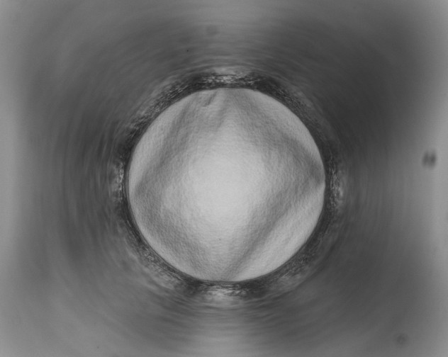 X0000115010657200911161601
