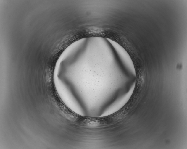 X0000115010658200911161601