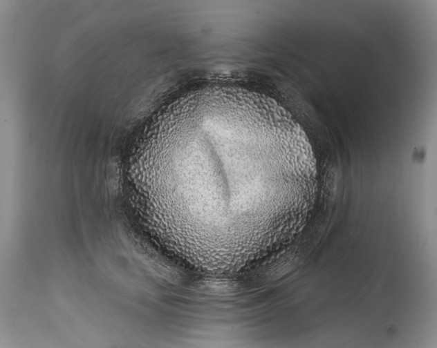 X0000115010659200911161601