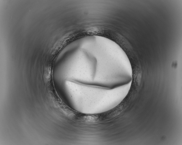 X0000115010660200911161601
