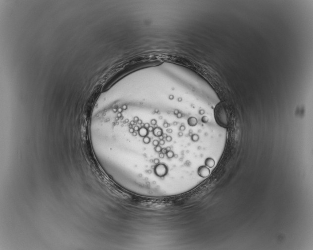 X0000115010661200911161601