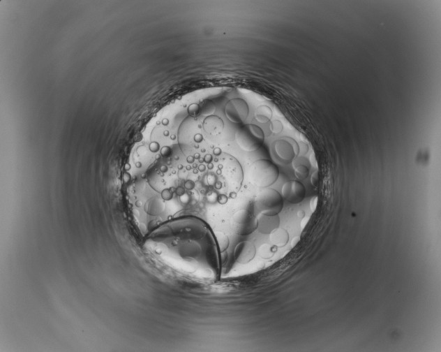 X0000115010662200911161601