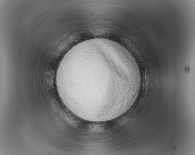 X0000115010664200911161601