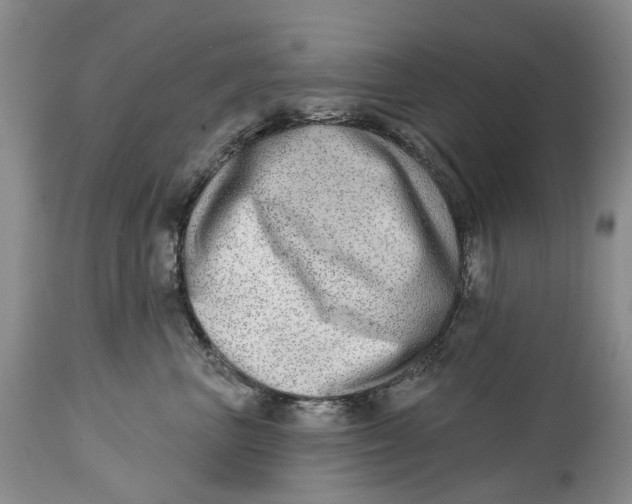 X0000115010667200911161601