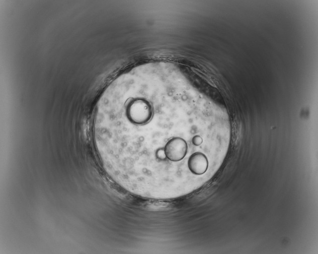 X0000115010669200911161601
