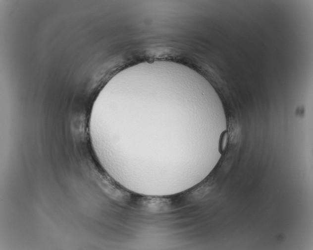 X0000115010670200911161602