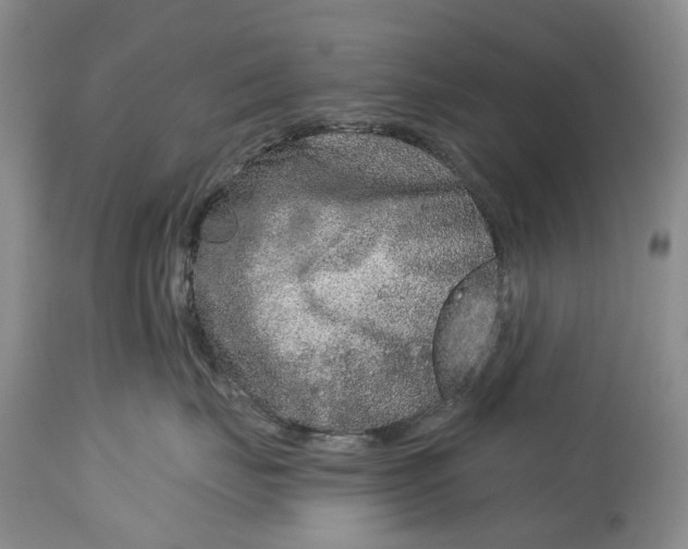 X0000115010671200911161602