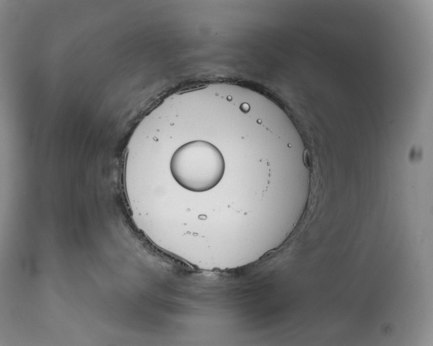 X0000115010672200911161602
