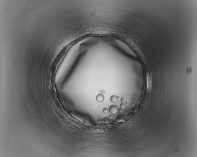 X0000115010675200911161601
