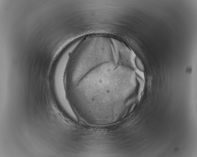 X0000115010676200911161601