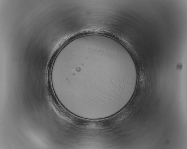 X0000115010678200911161601