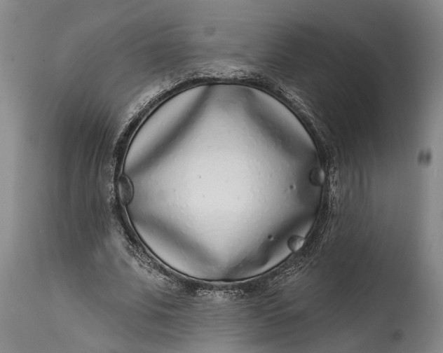 X0000115010679200911161601