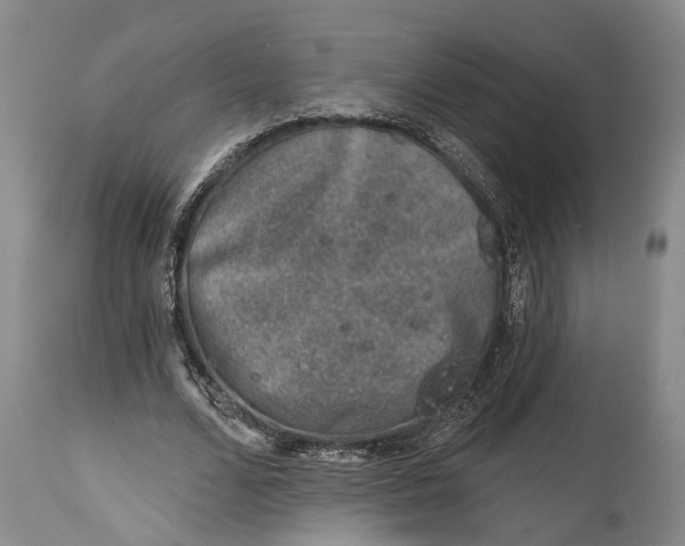 X0000115010680200911161601