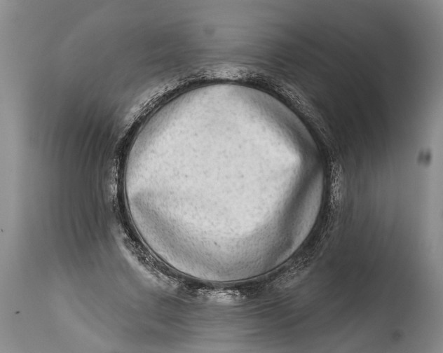 X0000115010683200911161601