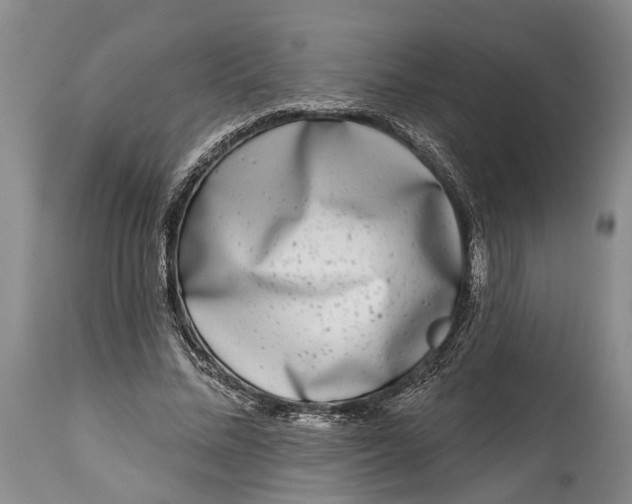 X0000115010684200911161601