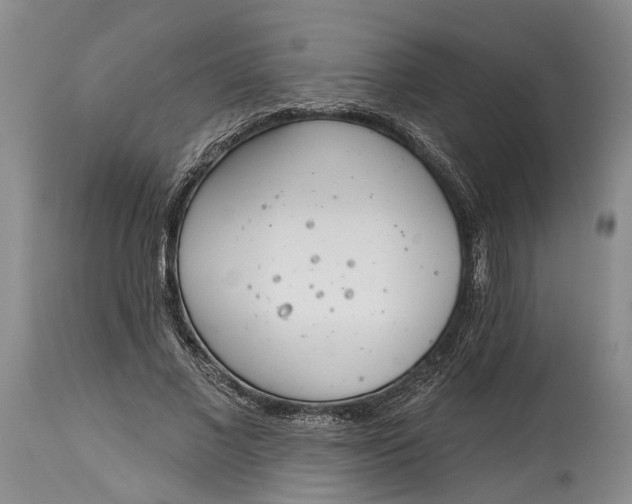 X0000115010685200911161601